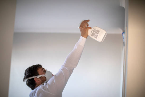 Best Residential Mold Remediation in Lenexa, KS