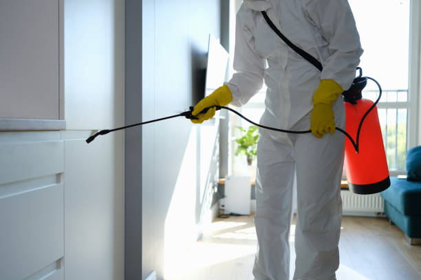 Best Post-Flood Mold Remediation in Lenexa, KS