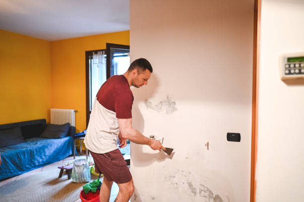 Best Mold Remediation for Schools in Lenexa, KS
